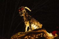 Verlichte Halfvasten Optocht Groesbeek - 2025